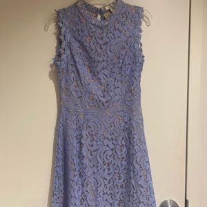 Francescas Periwinkle Lace Dress